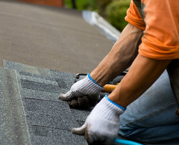Best Gutter Installation and Roofing  in Cooper City, FL
